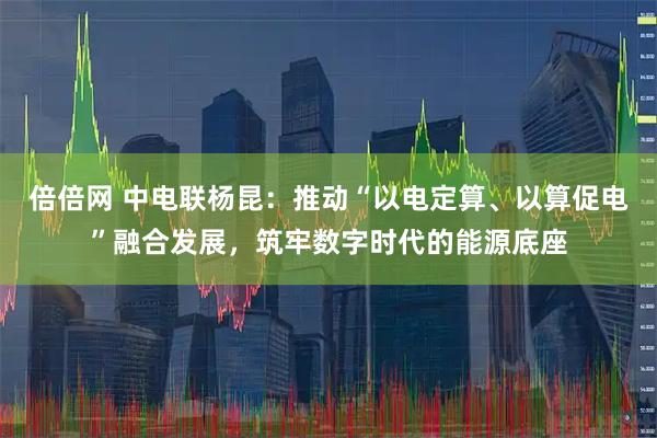 倍倍网 中电联杨昆：推动“以电定算、以算促电”融合发展，筑牢数字时代的能源底座