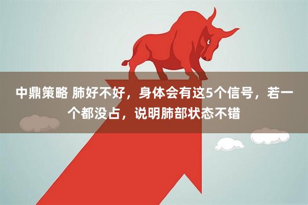 中鼎策略 肺好不好，身体会有这5个信号，若一个都没占，说明肺部状态不错