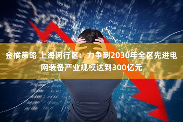 金橘策略 上海闵行区：力争到2030年全区先进电网装备产业规模达到300亿元