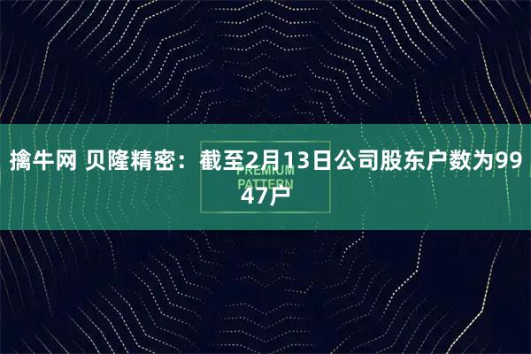 擒牛网 贝隆精密：截至2月13日公司股东户数为9947户